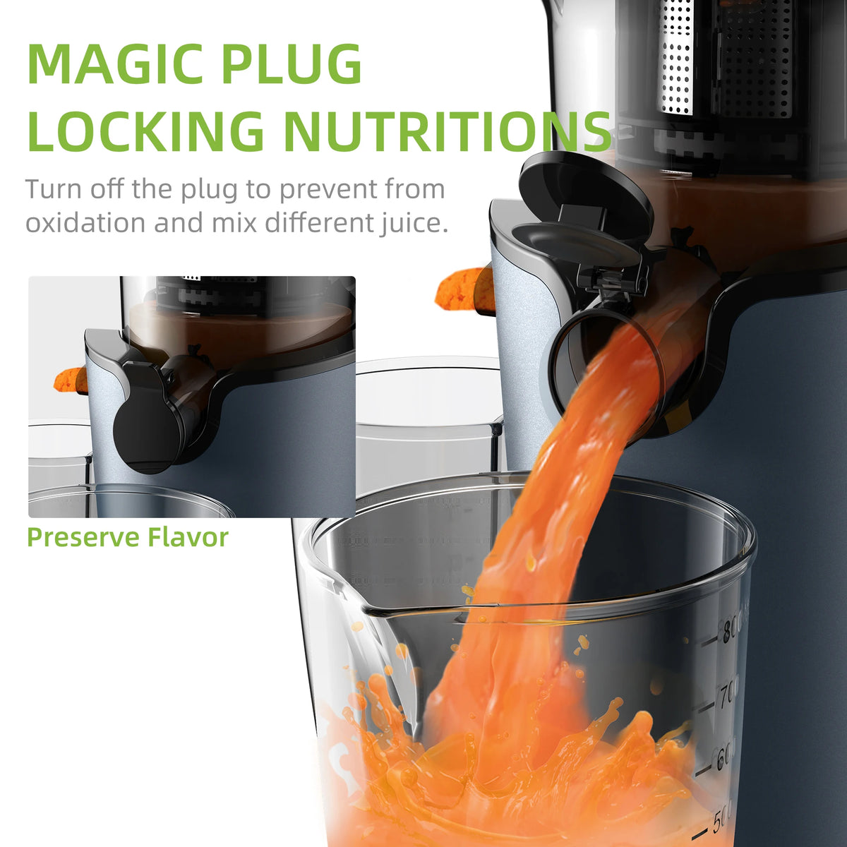 BioloMix Cold Press Juicer For Whole Fruits And Vegetables
