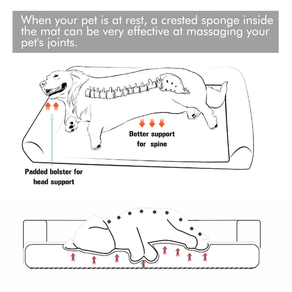 BINGOPAW Orthopedic Dog Bed with Removable Washable Cotton Cover