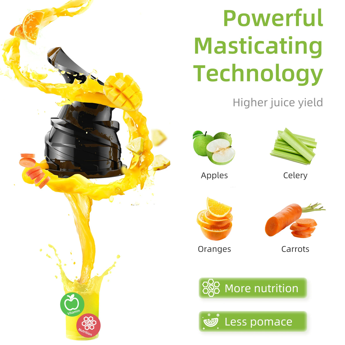 BioloMix Cold Press Juicer For Whole Fruits And Vegetables