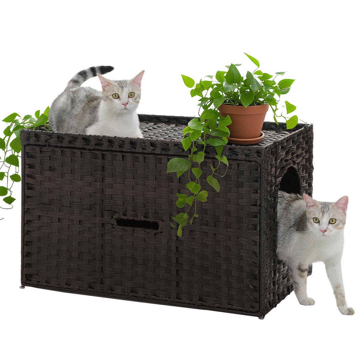 PEQULTI Rattan Cat Litter Box Enclosure With Tall Doorway