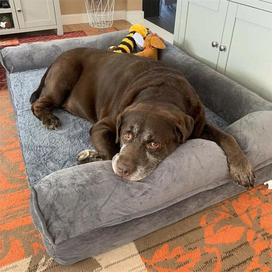 BINGOPAW Orthopedic Dog Bed with Removable Washable Cotton Cover